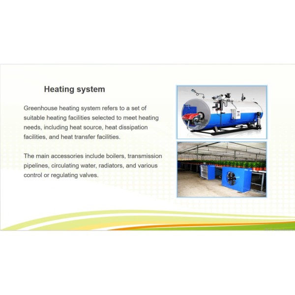 Rectangular Large Commercial Greenhouse Multispan Agricultural Greenhouse