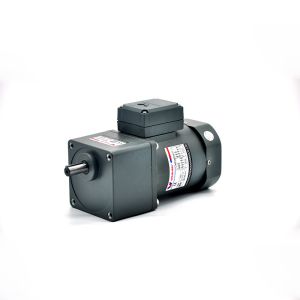 China Single Phase 50Hz Compact Geared Motor Low RPM Electric Motor 110V on sale