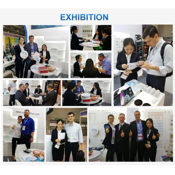 19" Windows Type Network Rack Cabinet , Wall Mount Rack Enclosure Heavy Duty