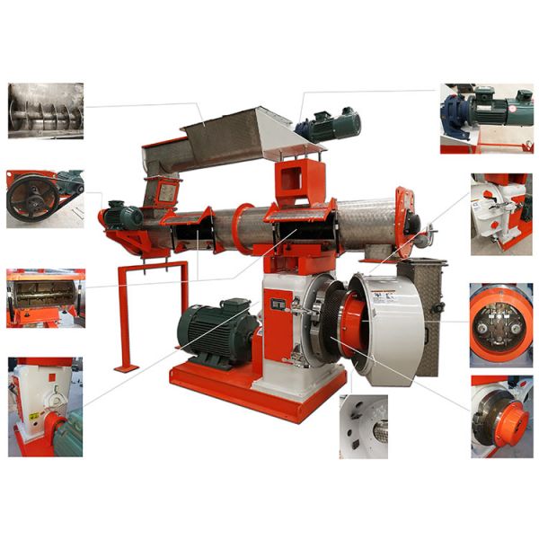 Compact Structure Pellet Production Machine 3 Kw Conditioner Stainless Steel Plates