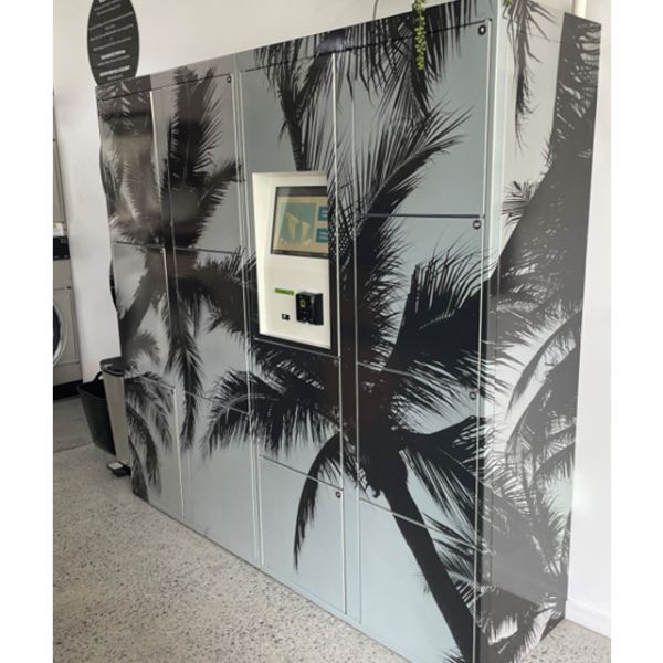 Dry Cleaning Steel Laundry Electronic Locker With Customization Doors