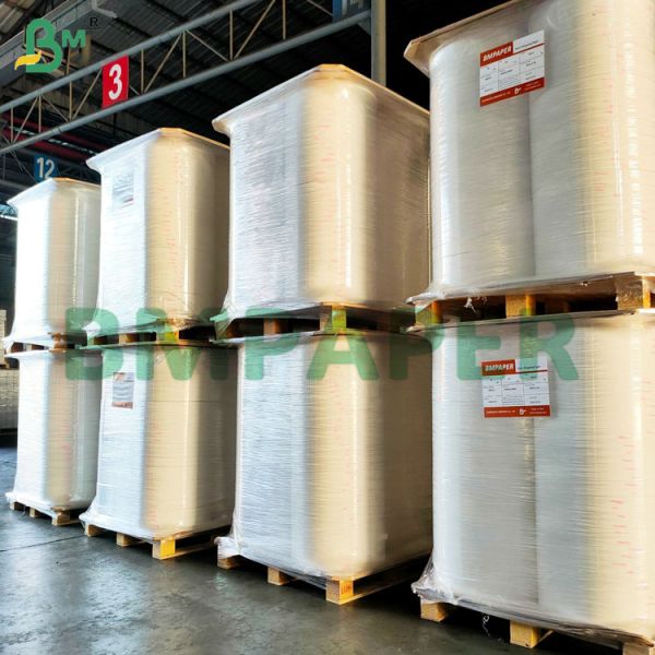 Food Safe Water Resistant Biodegradable Straw Paper for Drinking