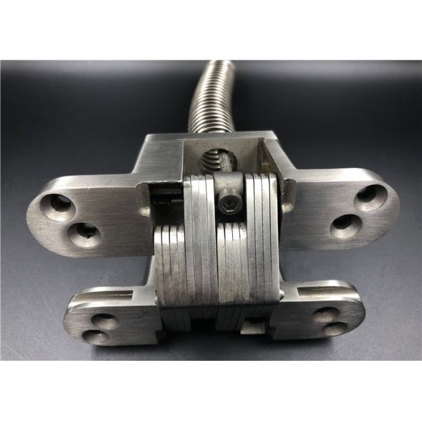 Self Closing Spring SOSS Invisible Hinge Stainless Steel For Channel Gate Passing Door