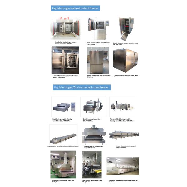 Conveyor Belt 15 Kw Blast Tunnel Everlasting Blast Chiller For Takifugu Niphoble OEM