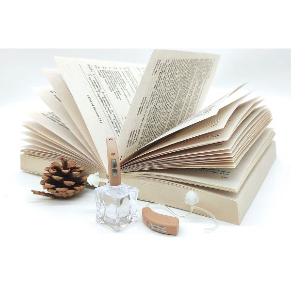 Grey Rechargeable Bluetooth Hearing Aids For Profound Sensorineural Hearing Loss