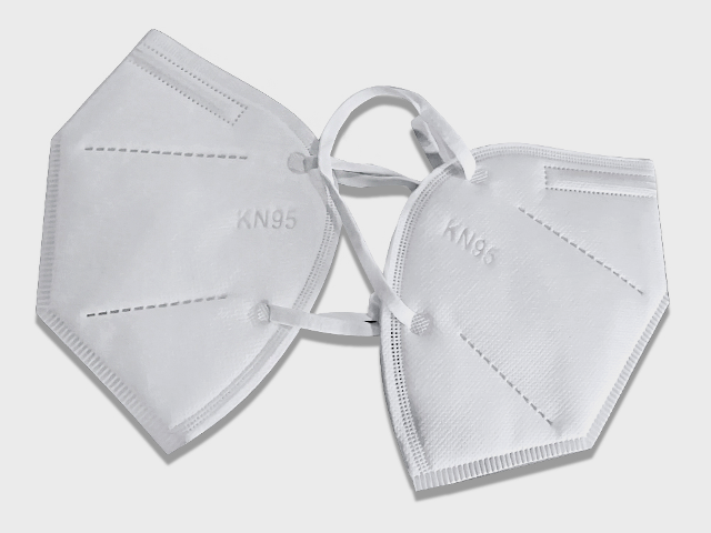 KN95 Disposable Particulate Respirator