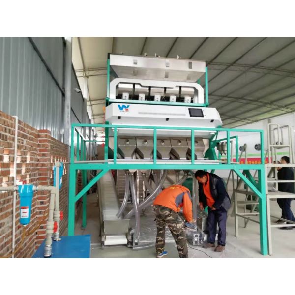 Latest Market Price CCD LED Chickpea Beans Color Sorter Popular in the USA