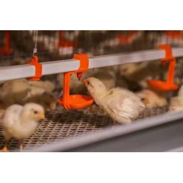 Galvanized Steel Automatic Chicken Cage with Adjustable Ventilation System for Low Maintenance Poultry Farming