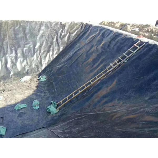 1mm HDPE Geomembrane for Agricultural Circular Tarpaulin Fish Pond Waterproofing