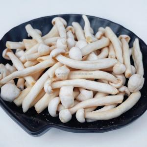 Quality Natural Organic Snacks White Beech Mushroom Healthy Vegetable VF Shimeji Mushroom for sale