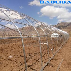 Quality 48mm Arch Pipe 150 Micron Agriculture Plastic Film Covered Single Tunnel Polyethylene Film Greenhouse for sale