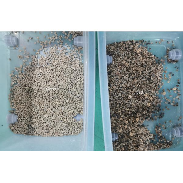 Latest Market Price CCD LED Chickpea Beans Color Sorter Popular in the USA