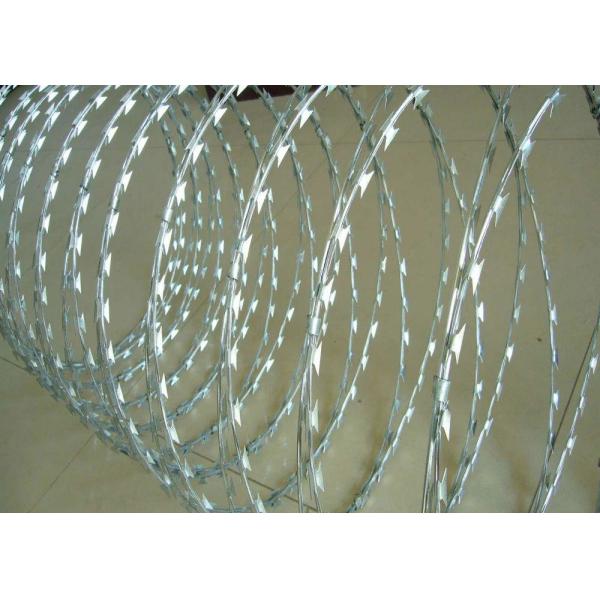 Hot Dipped Galvanized Razor Blade Fencing Wire Barbed 65mm Length CBT 65