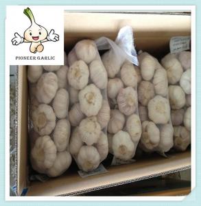 Quality New Crop Fresh White Garlic Exporter Normal White Garlic - Jinxiang New Crop for sale