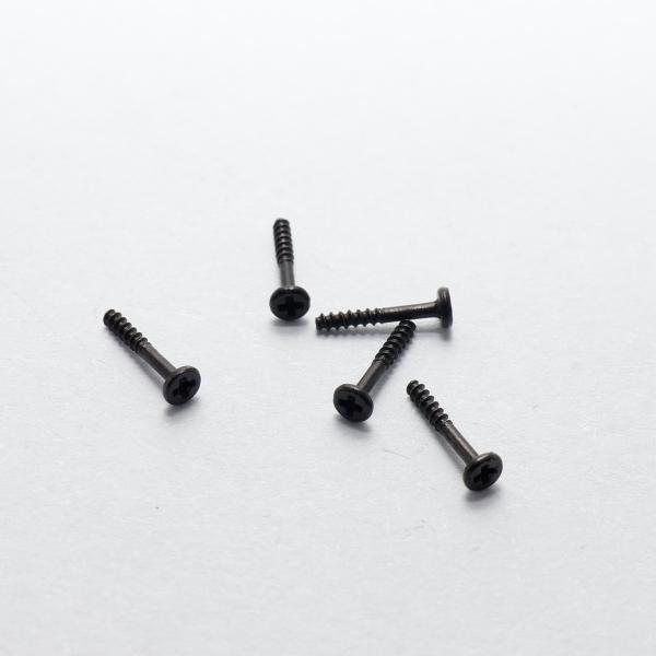 Nickel Plated Zinc Plated Black Oxide Micro Screw Precision Self-Tapping Screw for Industrial Applications