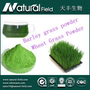 Quality Cure angiocardiopathy and Food supplement organic barley grass powder for sale
