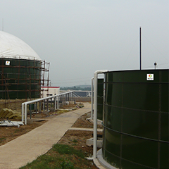 Giant Cow Manure Methane Digester ASBR Anaerobic Sequencing Batch Reactor