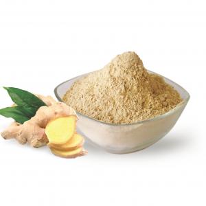 Quality Dehydrated Dried Organic Ginger Root Powder 10% Moisture for sale