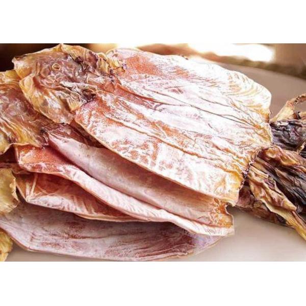 Delicious Healthy Squid Todarodes Pacificus