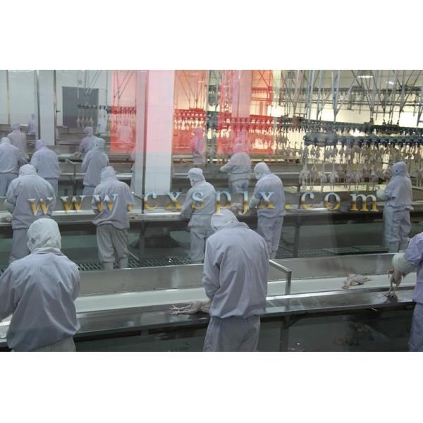 Chicken Duck Goose Bird Semi Auto Slaughter Machine For Poultry Meat Processing Plant