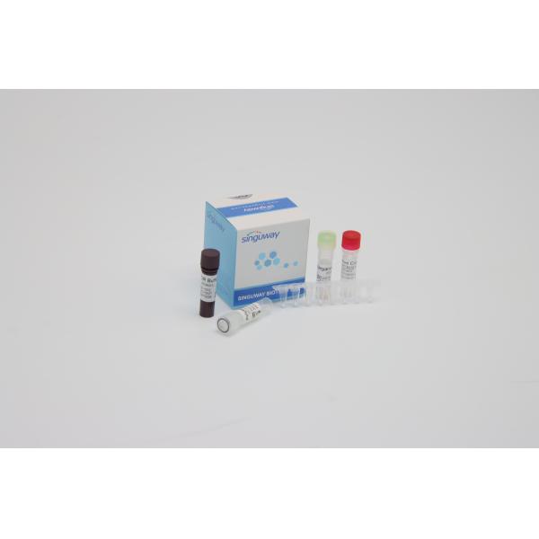 Super Sensitive Multiplex Real Time PCR Kit Coronavirus Nucleic Acid Detection Reagents