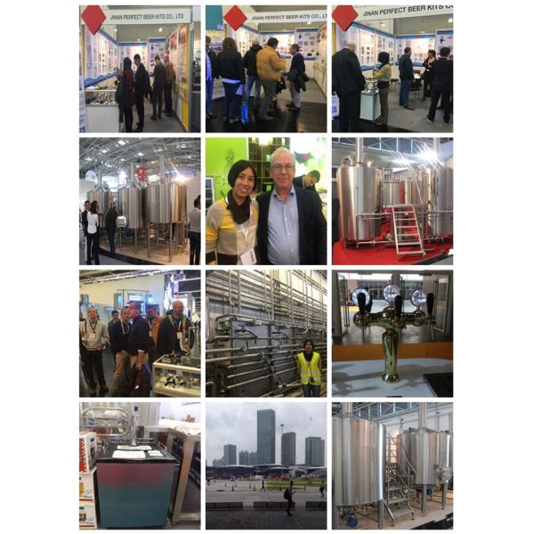 Processing Fermenting Equipment with Semi-Automatic Control System GSTA 100L Whole Set