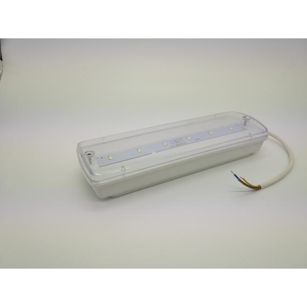 CE Standard Non-Maintain Emergency Light with IP65 Waterproof Rating and Ni-Cd Battery