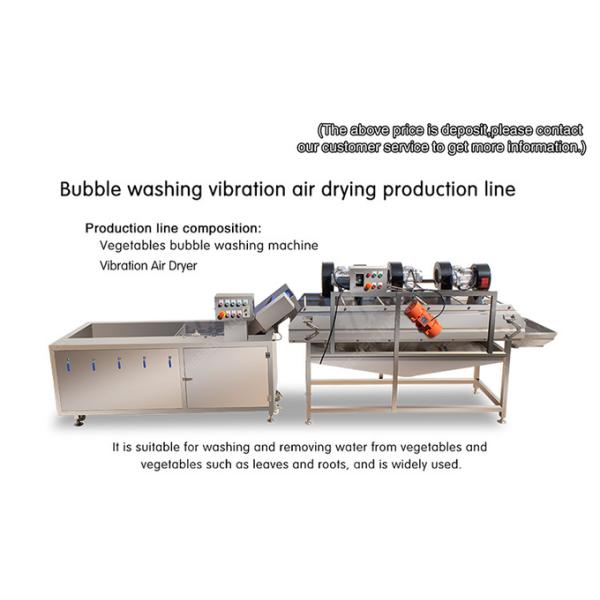 Bubble washing vibration air drying production line Orange Vegetable Herbs Fruit processing production Machine