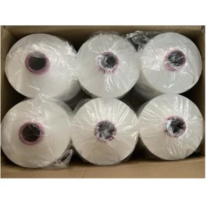 Cheap Price 150D/48F Raw White DTY Polyester Yarn NIM , SIM , HIM