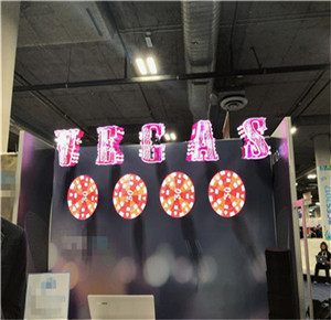 3D hologram Projector with Play High resolution 3D visuals /175 view angle