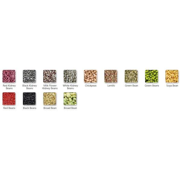 5400 Pixels Corn Grain Sorting Machine 384 Channels with High Capacity