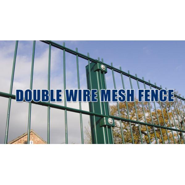 Powder Coated Grey Color 8/6/8 Double Loop Wire Fencing