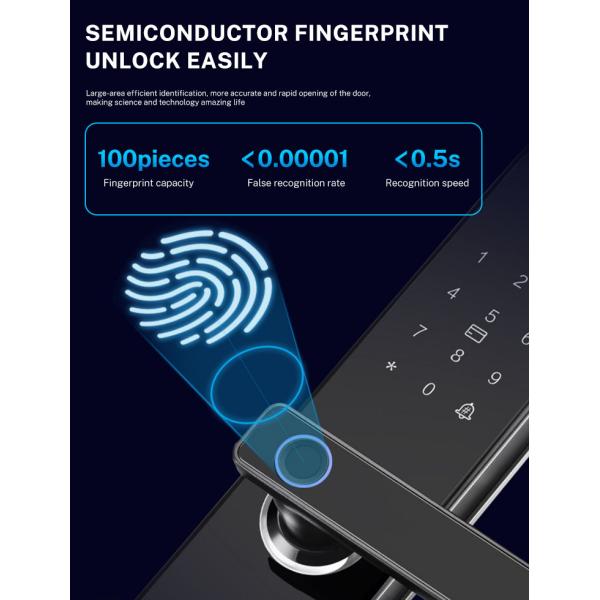 Biometric Fingerprint Door Lock Security Keyless Security Door Locks