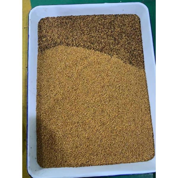 CCD Full Color Beans Color Sorter Machine 304 Stainless Steel Hopper