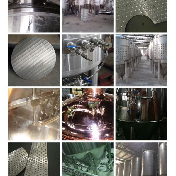 Processing Fermenting Equipment with Semi-Automatic Control System GSTA 100L Whole Set