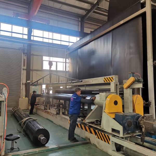 Professional HDPE Geomembranes for Landfill and Fish Farming Applications