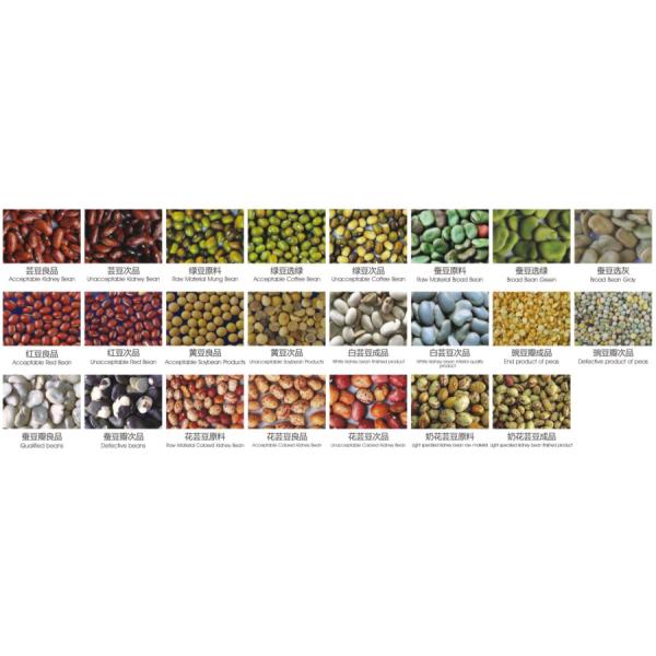 Bean Optical Sorting Machine Intelligent CCD bean color sorter machine