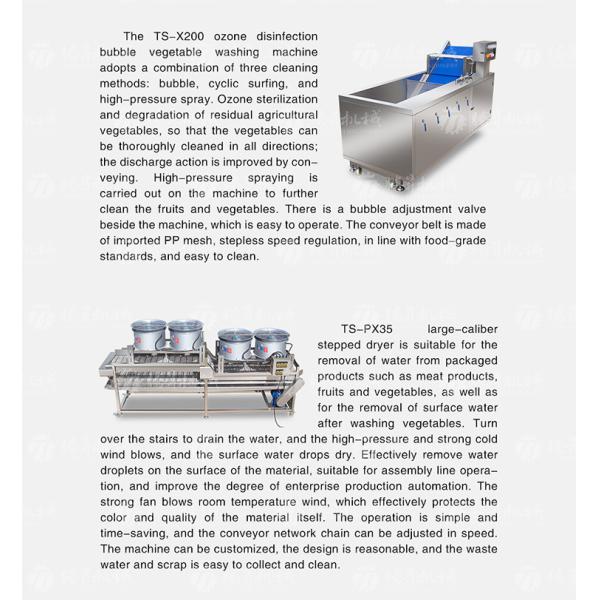 Fruit and vegetable brush bubblecleaning and drying production line Fruit Vegetable FOOD processing production Machine