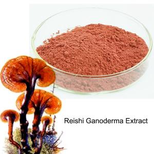 Quality Natural Reishi Ganoderma Extract Powder 10% ~ 30% Polysaccharides for sale