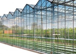 China Multi Layer Heat Insulating Glass For Greenhouse Solar Glass on sale
