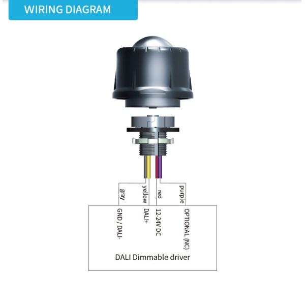 Zhaga book18 based CASAMBI BLE mesh PIR motion sensor, DALI-2 output, self-contained "application controller", highbay detection range, with Daylight