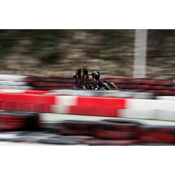 Electric Kids EV Go Kart Motor Power 750w with 5inch Wheel Hub