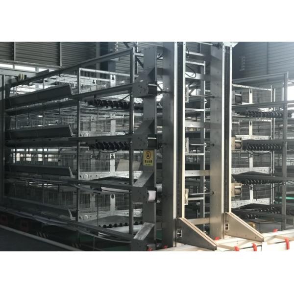 High Tech Automatic Broiler Feeding System Increase Survival Rate ISO9001 Certification