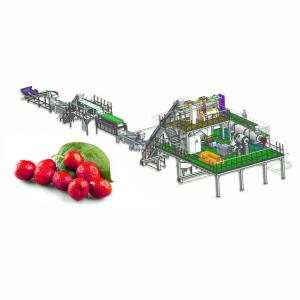 China Automatic Jujube Processing Line 50T/H  Extraction And Beating on sale China Automatic Jujube Processing Line 50T/H  Extraction And Beating on sale