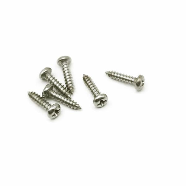 PA2.5*8 Stainless Steel Pan Head Self Tapping Screws Precision Small Screws For Electrical Appliances SS316 Black Stainless Self Tapping Screws PA2.5x8 Gilded anodized