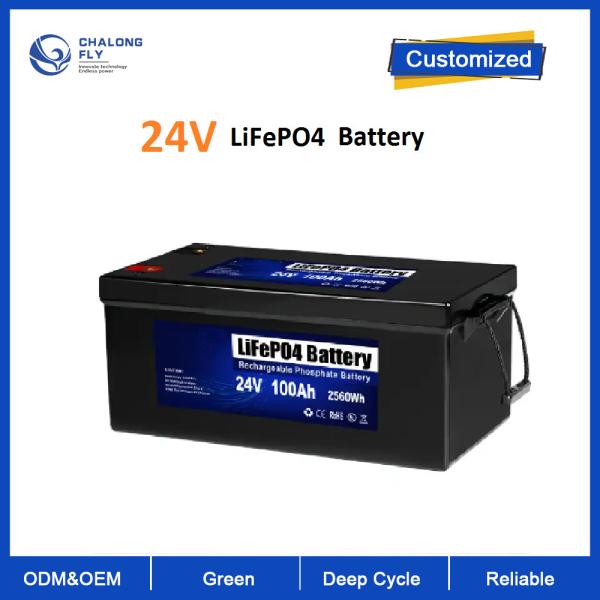 LiFePO4 24V 100AH Li-ion Lifepo4 lithium battery with BMS for Solar Energy