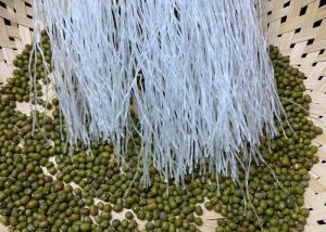 Quality Cooking Mung Bean Vermicelli Free Gluten for sale