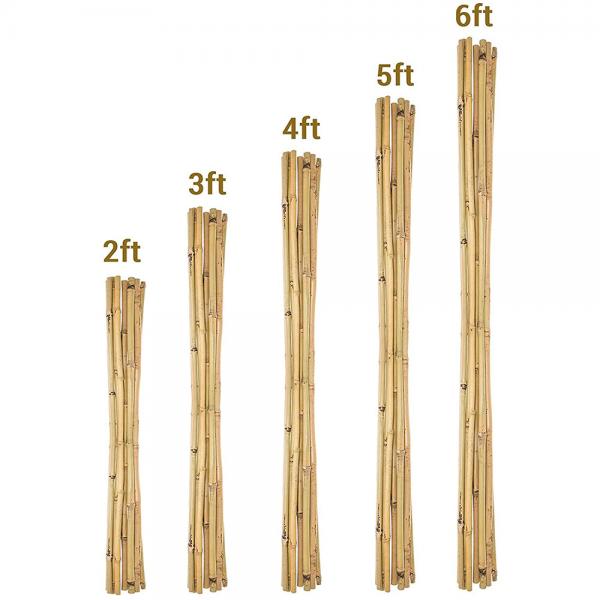 Garden Furniture Natural Bamboo Stakes Raw Bamboo Poles 40cm To 500cm Height