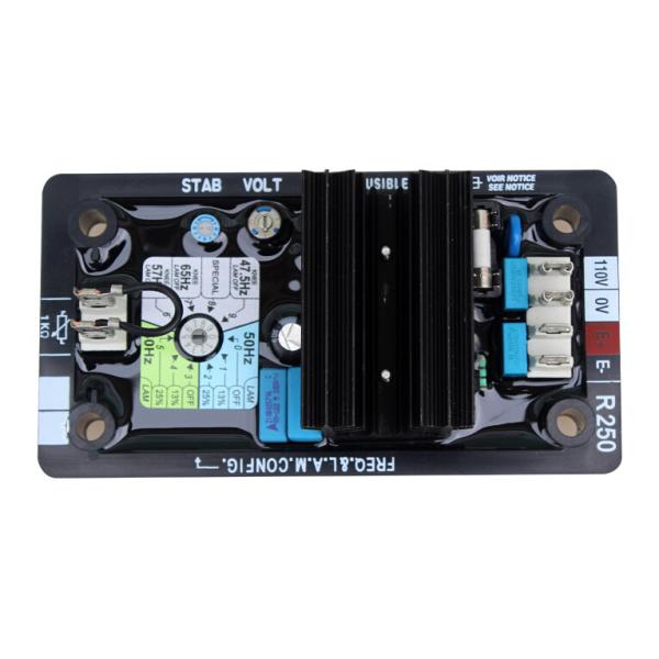 0.001CBM Volume Automatic Voltage Regulator Leroy Somer AVR R250