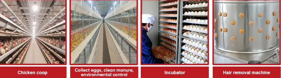 Hot-Dip Galvanized H Type Layer Cage with Modular Structure for 3rd to 8th Floor Poultry House
